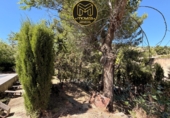 Chalet independiente con terreno en venta en La Guardia de Jaén ref: TR411714 foto