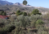 Urban land for sale in Jaén ref: TR412276 photo