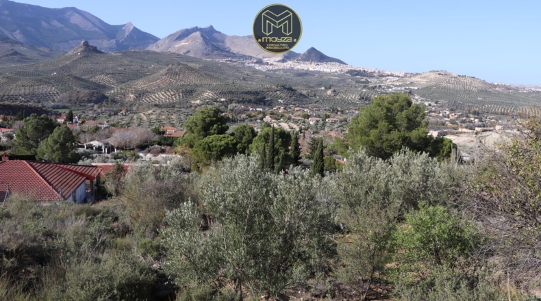 Jaén - Jaén - 1863m2