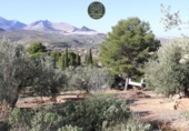 Urban land for sale in Jaén ref: TR412276 photo