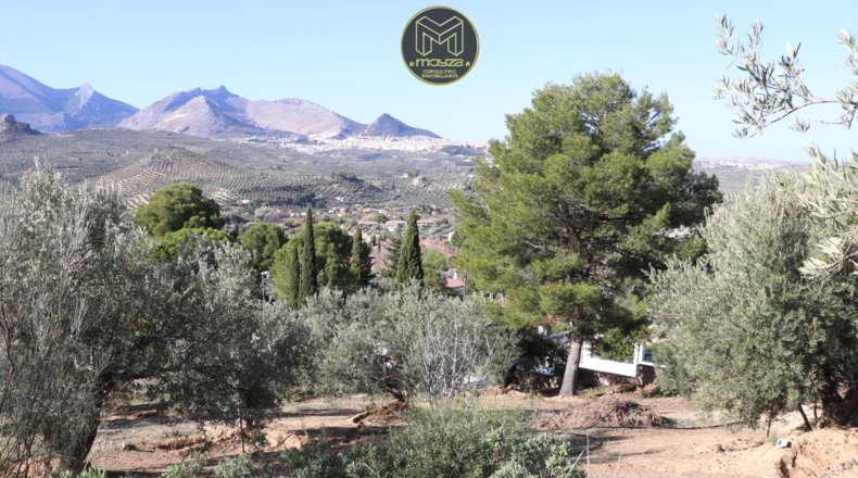 Jaén - Jaén - 1863m2