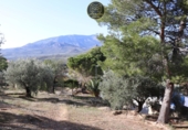Urban land for sale in Jaén ref: TR412276 photo