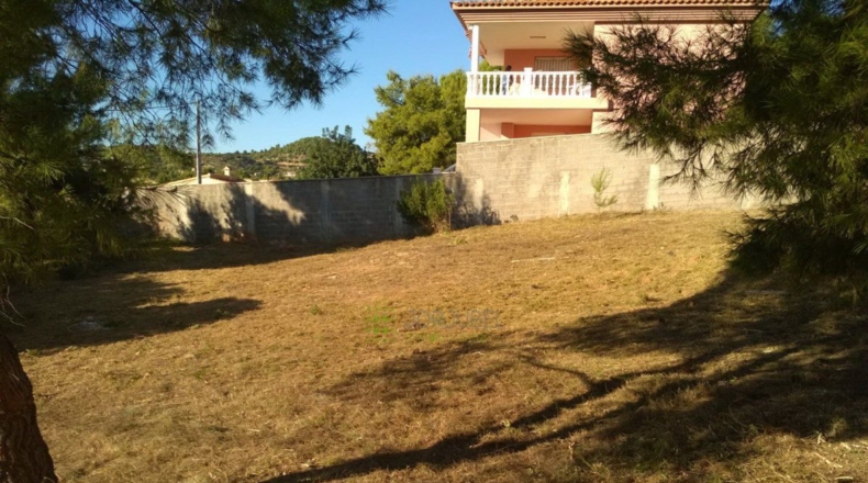 Castellón - Borriol - 1199m2