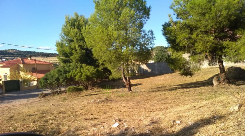 Castellón - Borriol - 1199m2