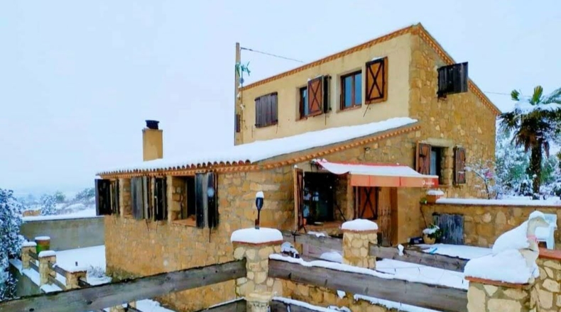 Lérida - Granyena de les Garrigues - 10000m2