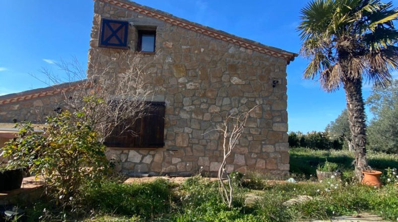 Lérida - Granyena de les Garrigues - 10000m2