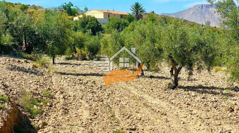 Almería - Vélez-Rubio - 140000m2