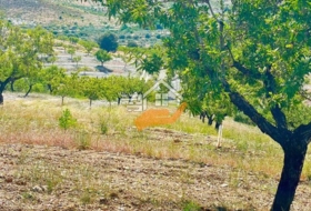 Foto 9