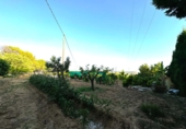 Sòl urbà en venda a Montserrat ref.: TR412291 foto