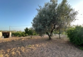 Sòl urbà en venda a Montserrat ref.: TR412291 foto