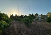 Sòl urbà en venda a Montserrat ref.: TR412291 foto