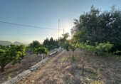 Sòl urbà en venda a Montserrat ref.: TR412291 foto