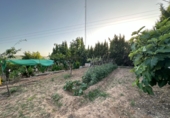 Sòl urbà en venda a Montserrat ref.: TR412291 foto
