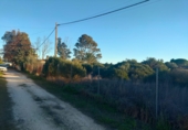 Земля на продажу у города Chiclana de la Frontera. Фото