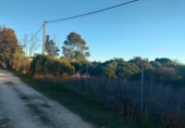 Земля на продажу у города Chiclana de la Frontera. Фото