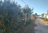 Земля на продажу у города Chiclana de la Frontera. Фото