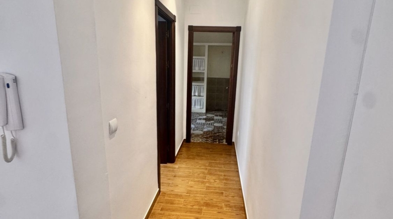 Sevilla - Olivares - 128m2