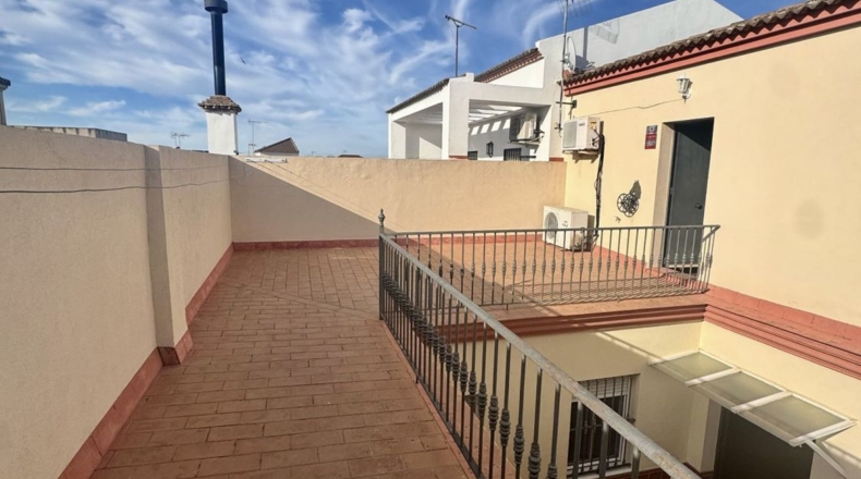 Sevilla - Olivares - 128m2