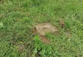 Terreno con Ruinas en venta en la Naxurieta, Unciti, ref: TR412303 foto