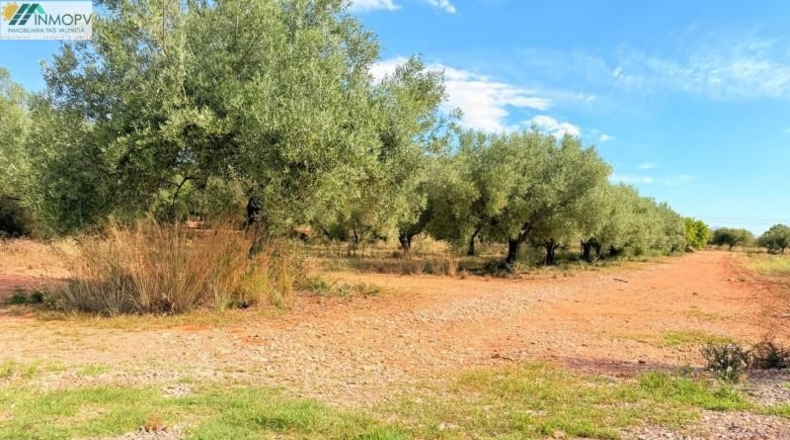 Castellón - Peñíscola - 3900m2