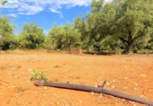 Non-developable land for sale on España, Peníscola, ref: TR412307 photo