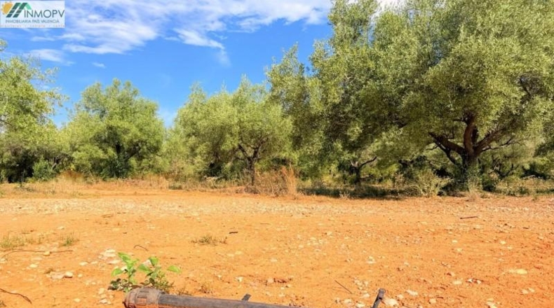 Castellón - Peñíscola - 3900m2