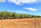 Non-developable land for sale on España, Peníscola, ref: TR412307 photo