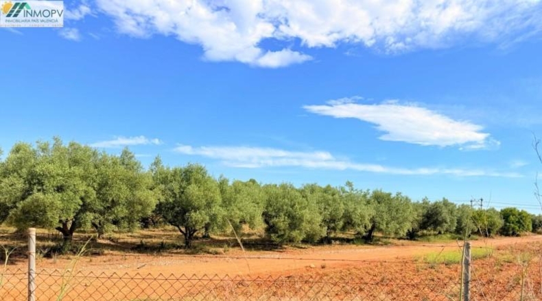 Castellón - Peñíscola - 3900m2