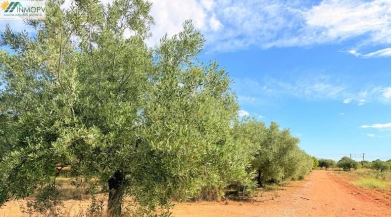 Castellón - Peñíscola - 3900m2