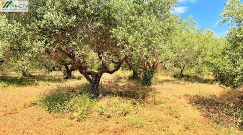 Castellón - Peñíscola - 3900m2