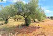 Non-developable land for sale on España, Peníscola, ref: TR412307 photo