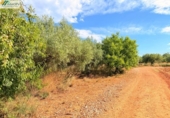 Non-developable land for sale on España, Peníscola, ref: TR412307 photo