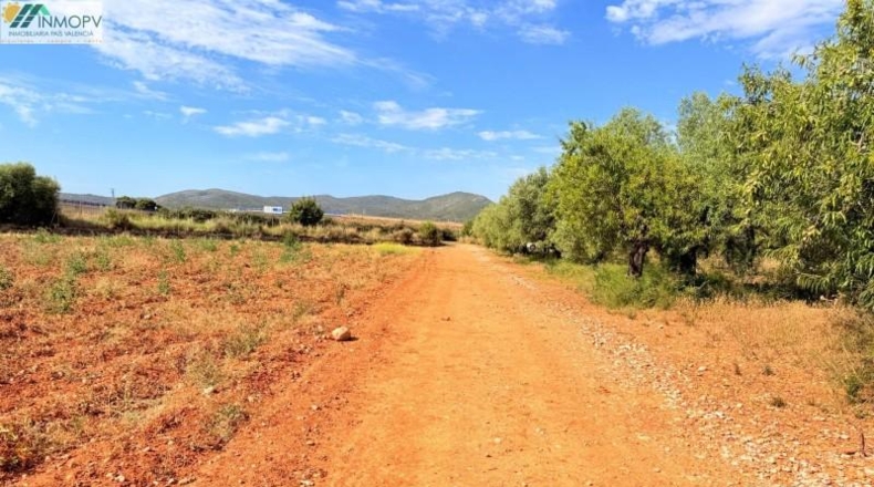 Castellón - Peñíscola - 3900m2