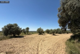 Barbastre 1800&nbsp;m² 