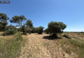 Non-developable land for sale on España, Barbastro, ref: TR412305 photo