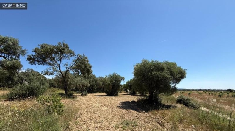 Huesca - Barbastro - 1800m2