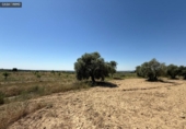 Non-developable land for sale on España, Barbastro, ref: TR412305 photo