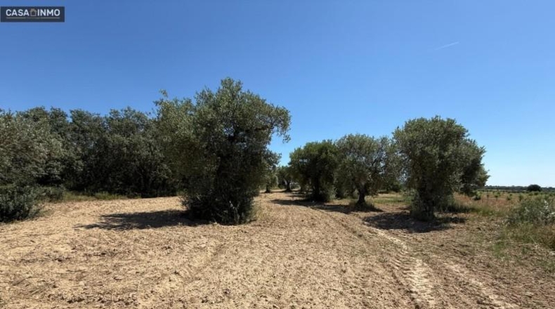 Huesca - Barbastro - 1800m2