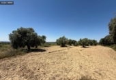 Non-developable land for sale on España, Barbastro, ref: TR412305 photo
