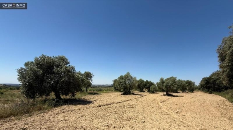 Huesca - Barbastro - 1800m2
