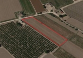 Non-developable land for sale on España, Dolores, ref: TR117826 photo