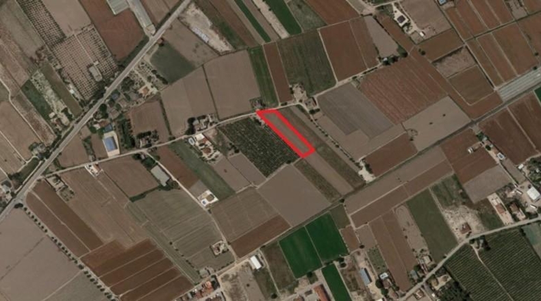 Alicante - Dolores - 7811m2