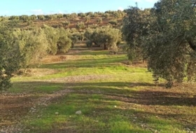 Villargordo 18416&nbsp;m²