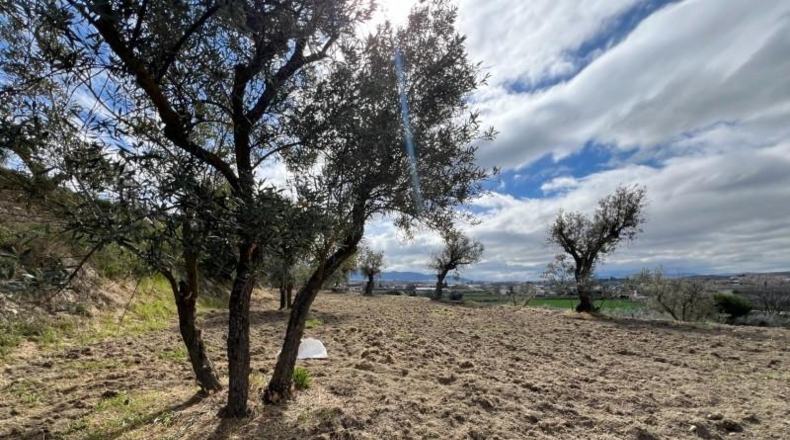Granada - Alhendín - 3183m2