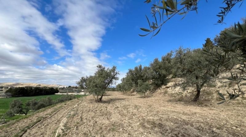 Granada - Alhendín - 3183m2