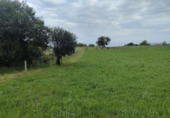 Detached villa with land for sale on España, Villaviciosa, ref: TR275217 photo