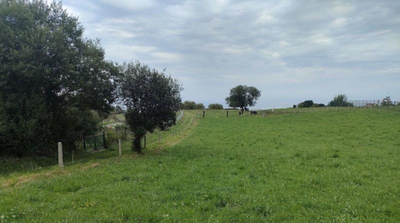 Asturias - Villaviciosa - 2818m2