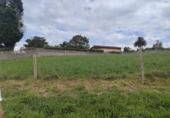 Detached villa with land for sale on España, Villaviciosa, ref: TR275217 photo
