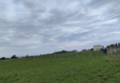 Detached villa with land for sale on España, Villaviciosa, ref: TR275217 photo