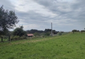 Detached villa with land for sale on España, Villaviciosa, ref: TR275217 photo